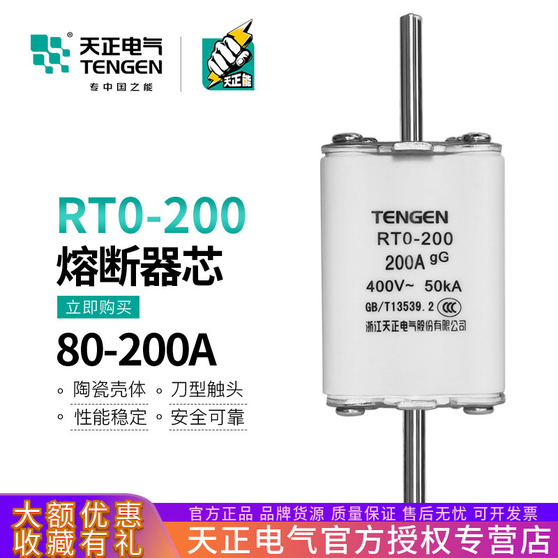 TENGEN天正电气RTO-200体熔断器熔芯RT0-200A陶瓷方管保险丝160A