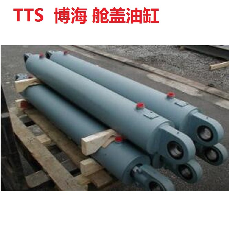 TTS hyd hatch cover jack seal舱盖千斤顶密封垫圈杆封油缸油封阿里巴巴