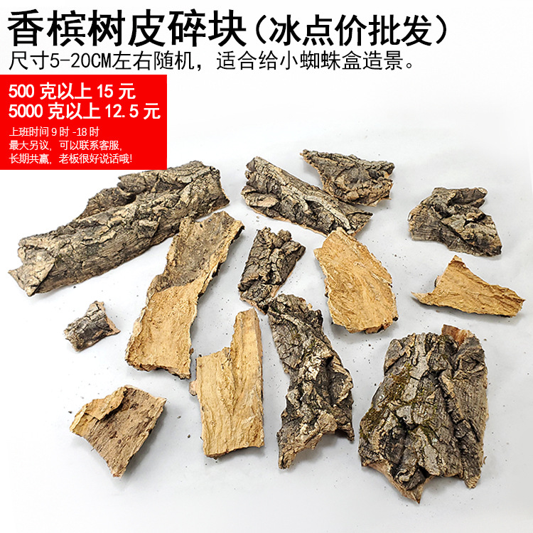 香槟树皮树块