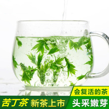 2021新茶青山綠水茶葉500g批發苦丁茶嫩芽小葉綠茶一件代發新茶