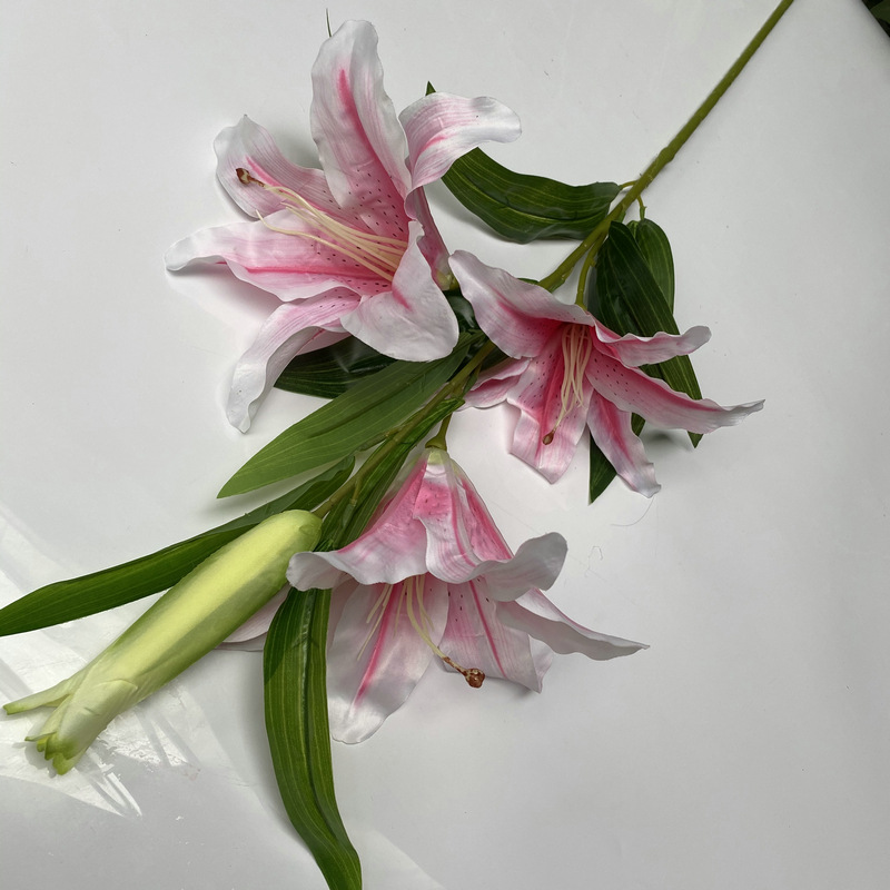 新百合大只四头浅粉色