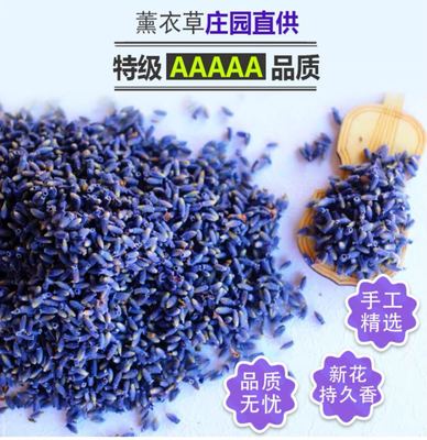 薰衣草幹花原産地批發新疆伊犁香包幹花花粒新貨法國藍清香型批發
