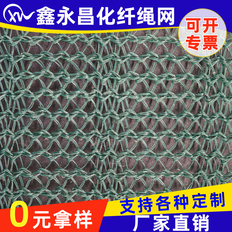 厂家出口橄榄网 果实收集网农业网 全新料HDPE果树防鸟防虫遮阳网