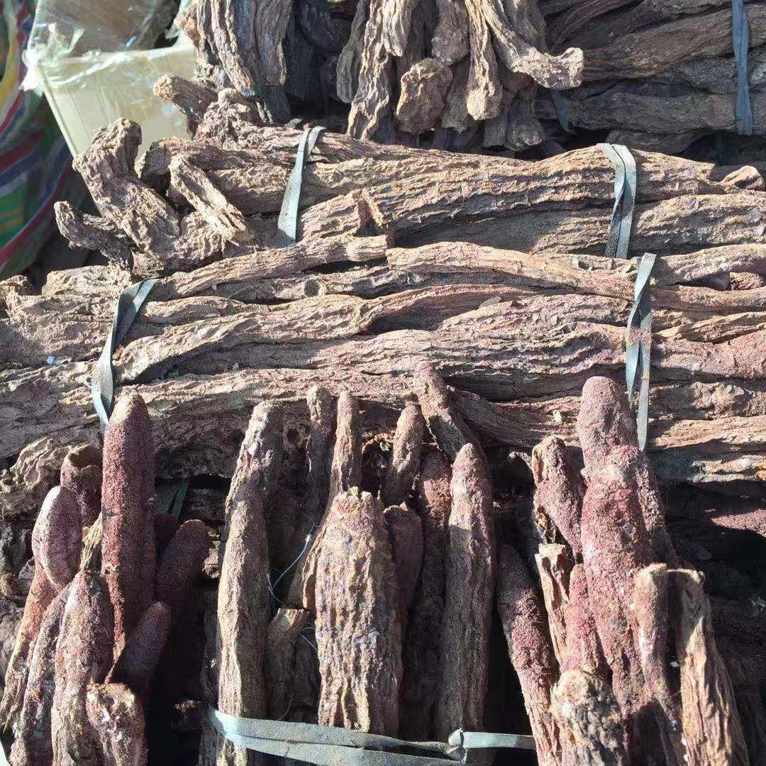Cynomorium Songaricum Sliced Suo Yang Dried Herb for Herbal Wine and Decoctions 500g quality and texture