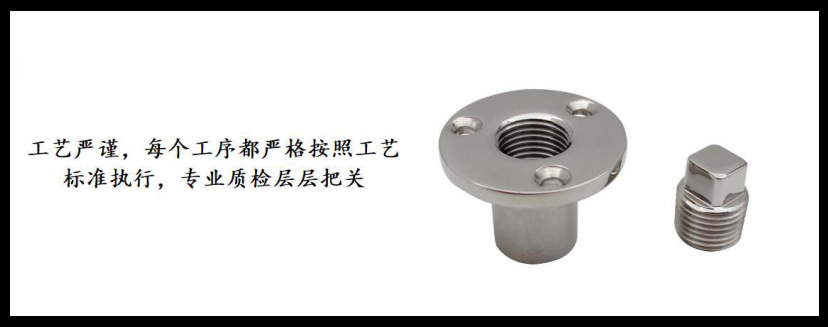 ZB1901圆形丝堵细节图-4