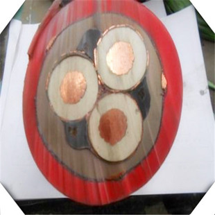 Vø߉ܛ|MYPT-1.9/3.3KV-3*50+3*25/3