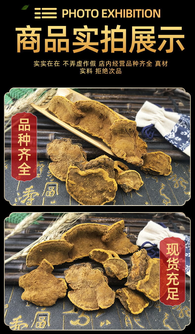 Sang Huang Mulberry Yellow Fungus Loose Dried Phellinus for Traditional Herbal Decoction 500g in use