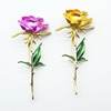 High-end plant lamp lapel pin, enamel, brooch, metal protective underware, pin, new collection, roses