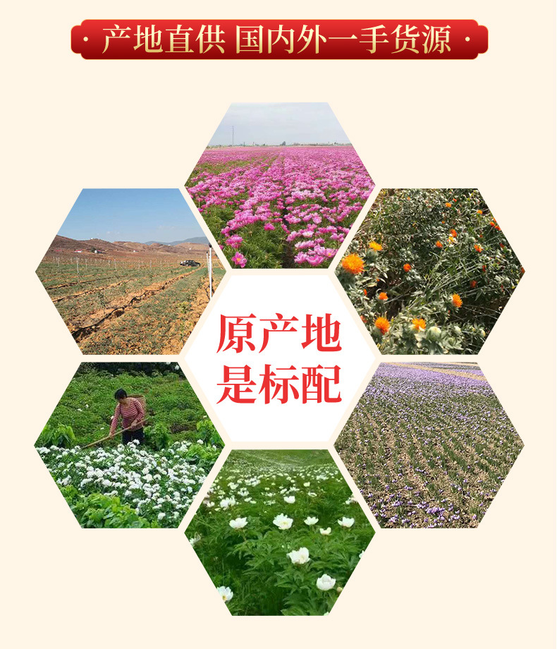Jin Yin Hua Powder (Lonicera japonica) — Dried Honeysuckle Flower Powder, 500g quality and texture