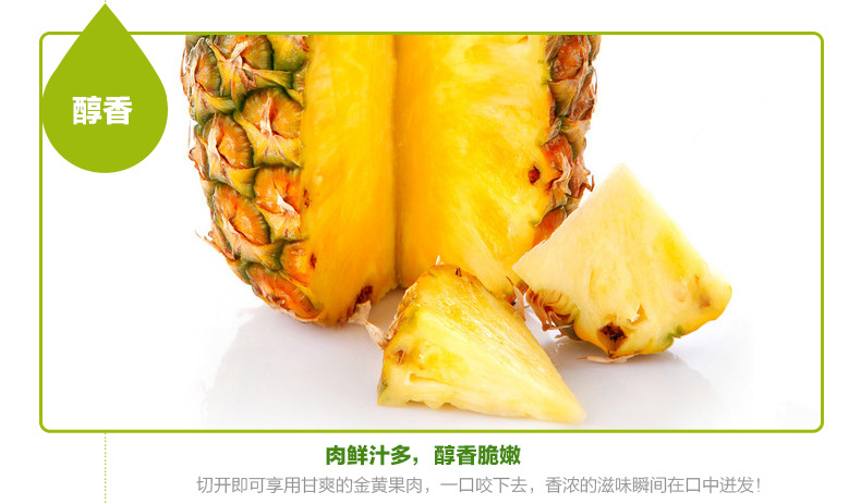 凤梨_14.jpg
