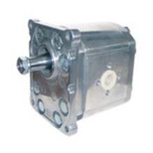 ˼HesperRMarzocchiXϽX݆HA1-5-3299-C