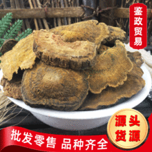 批发 大黄马蹄大黄大黄片 塘古特 大黄 鸡爪大黄 常年大货E