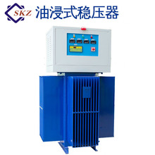 100KVA����Б�ʽ�������Չ��C�����Vɽ�Cе�O�䌣���ͽ�ʽ������