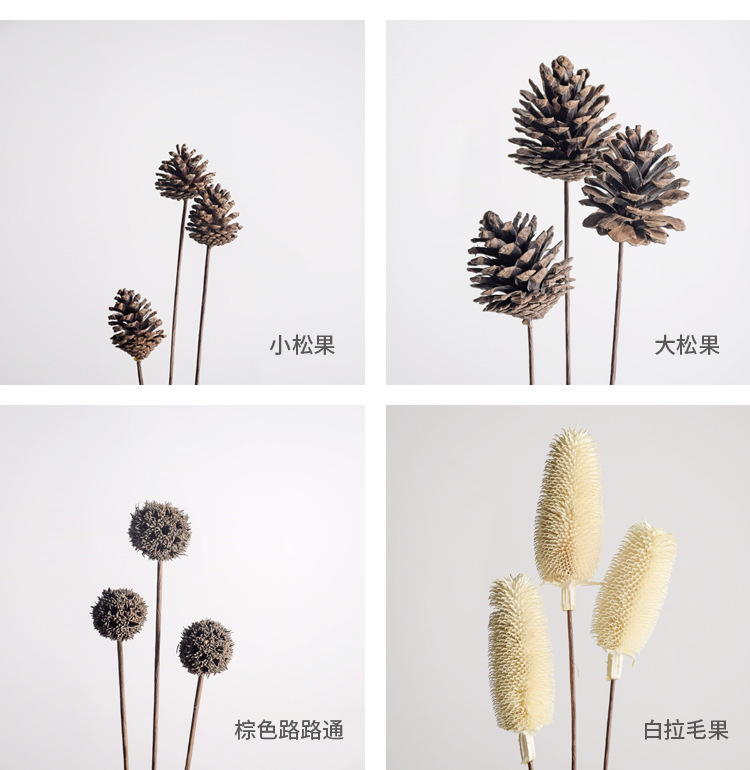 微信图片_20200524090744