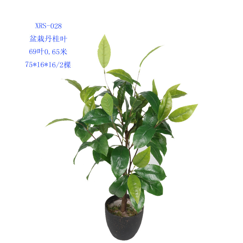 XRS-028 盆栽丹桂叶69叶0.65米1.jpg