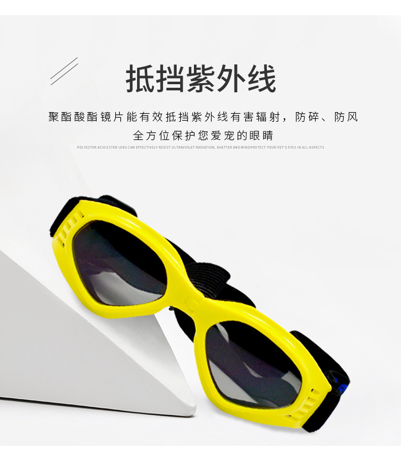 狗狗太阳镜