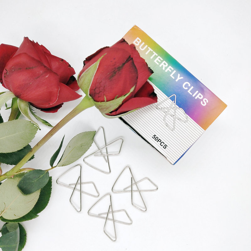 8C62816A9AA38448EA363023013D72