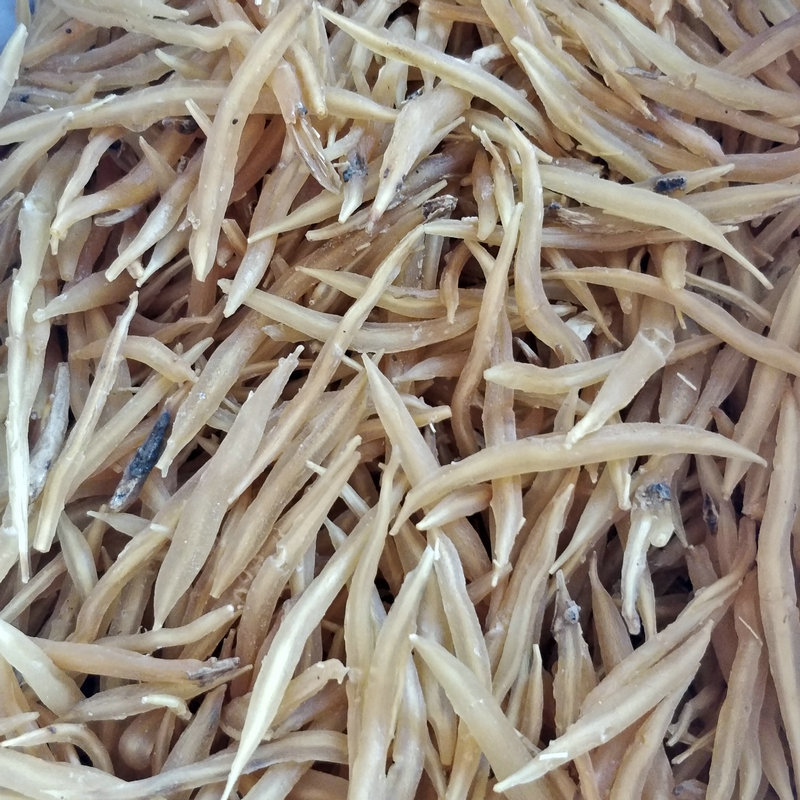 中药材天冬 无硫天门冬大货批发天冬打粉 药食同源厂家供应-阿里巴巴