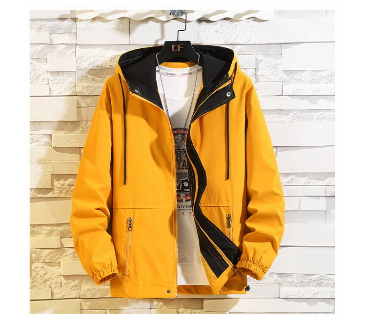 Jacket detail 6