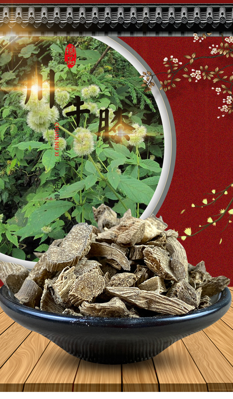 Sichuan Cyathula Root Chuan Niu Xi Dried Sliced Herb 500g for Decoction and Culinary Use overview