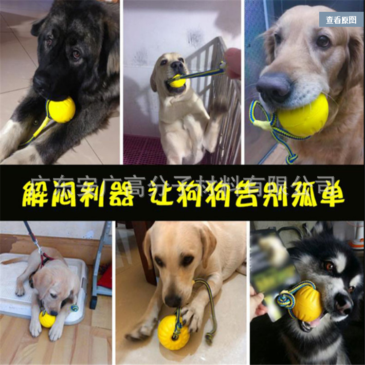 狗狗玩具球