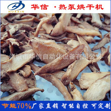 Դ^SSO șİܸSəCɹˇضȷ