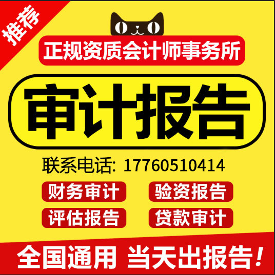 成都年度审计报告高新财务报表审计代做投标年检验资报告资产评估