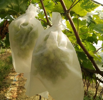 厂家推荐 28*38防虫水果套袋 无纺布葡萄防鸟套袋 葡萄保护袋|ru