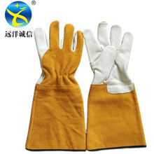 �S�ҿ羳ţƤ���ׄڹ�늺����׷��̷�����L�ֲ����o�˄ڱ�����