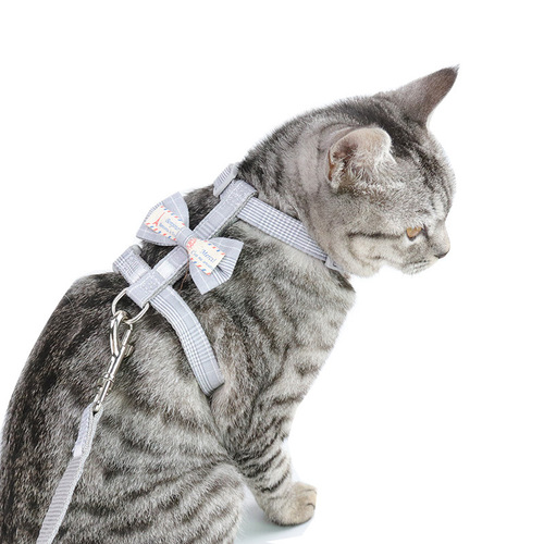 Manufacturer Direct Supply Amazon New Bowknot Cat Leash Anti-Tearing Adjustable Cat Walking Rope Cat Supplies
