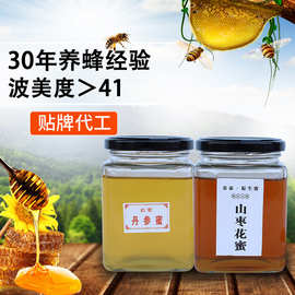 河南土特产丹参蜜500g山枣花蜂蜜原蜂场蜂蜜oem贴牌代工