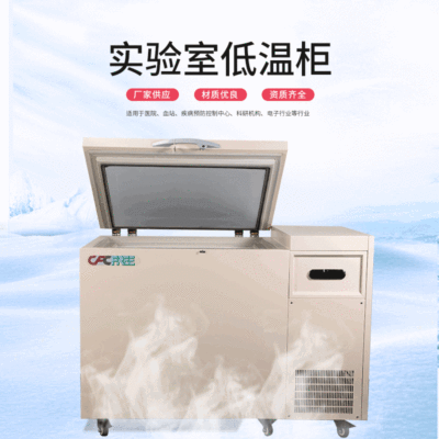 -86℃卧式速冻制冷机 118L温度可调冷藏箱 药品实验低温保存箱|ru