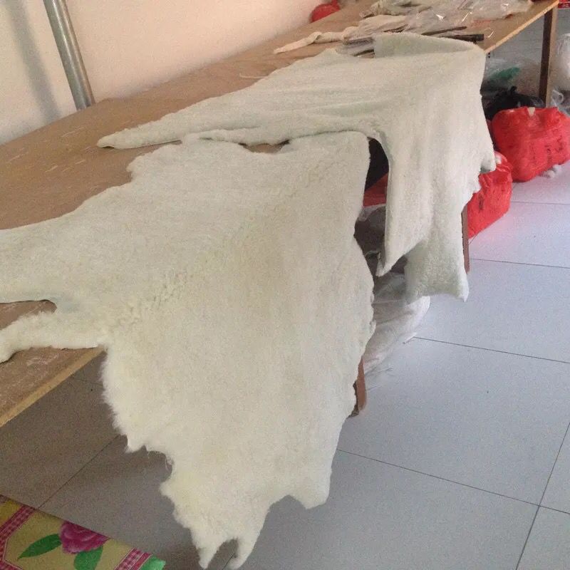 F5B19588A4BDB86999008812BEF475