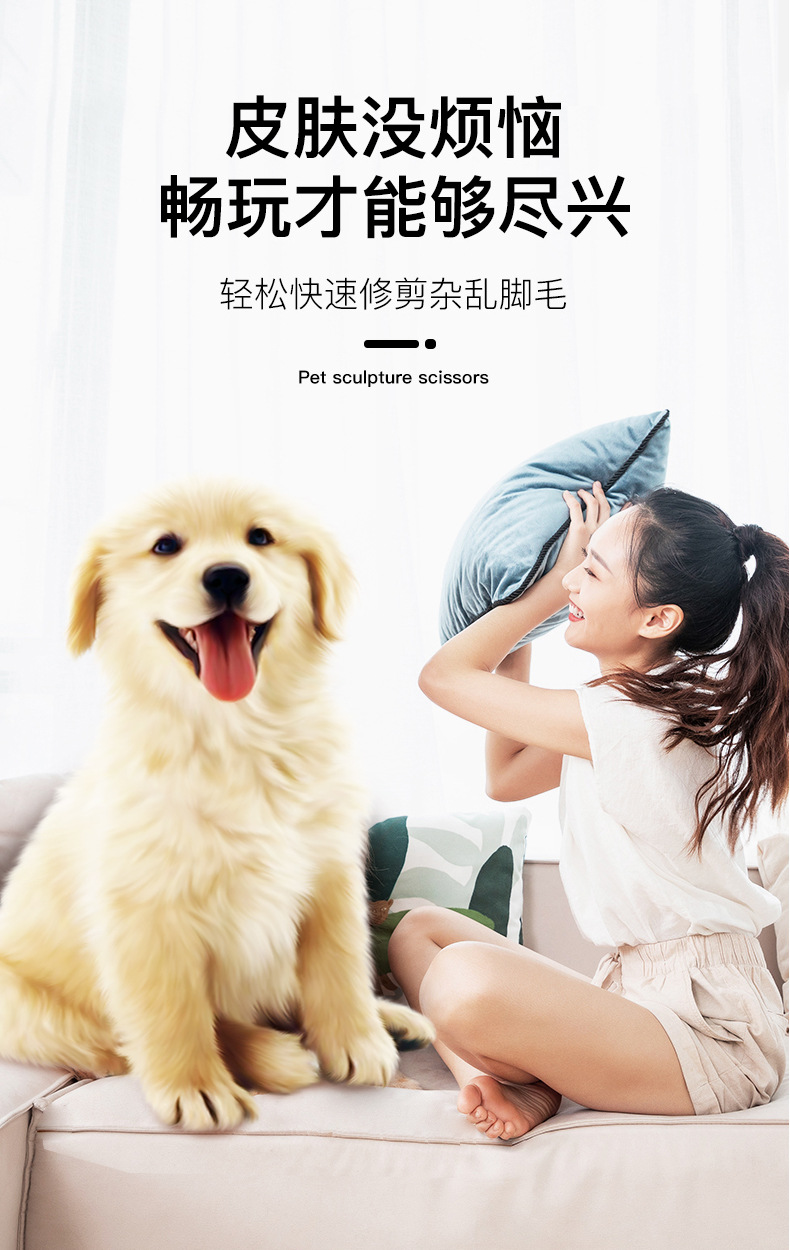 宠物剃毛_04.jpg