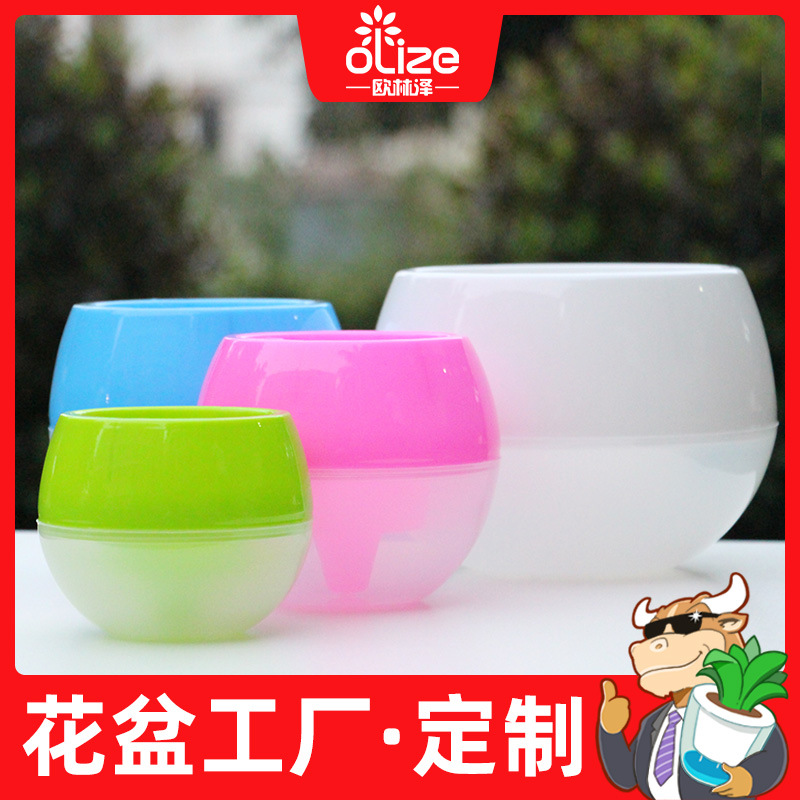 欧林泽厂家爆款花盆偷懒彩色储水多肉塑料多规格懒人花盆球形石丸
