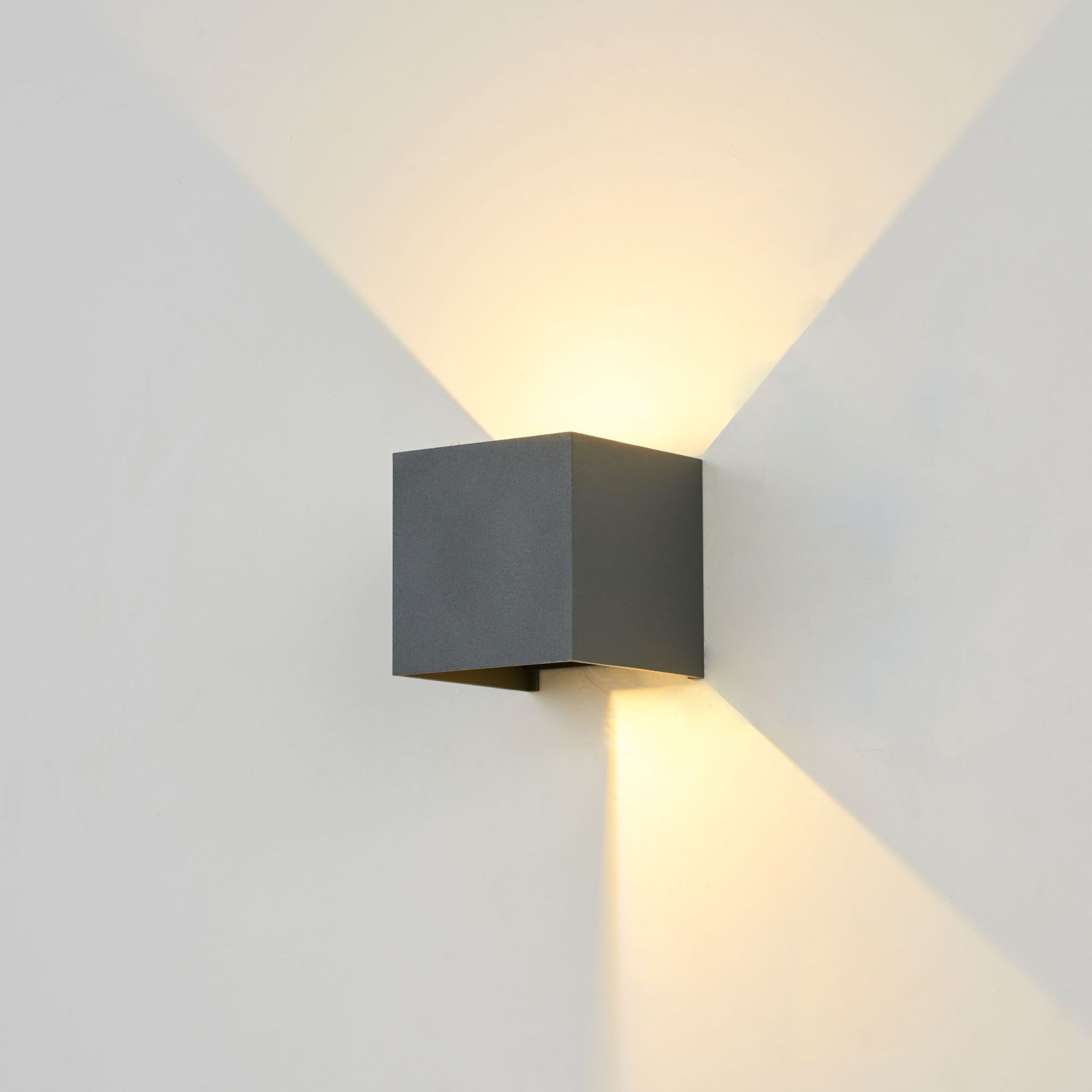 Capture One Catalog29538.jpg