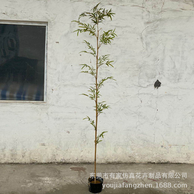 Venta directa de fábrica Simulación de bambú en maceta de una sola raíz de bambú Decoración de interiores Tabique de bambú falso Pared de contención Planta verde Bonsai