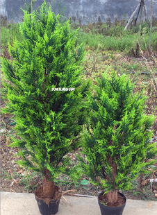 �k���[�O�廨�b���ؘ����̰ط�������������ľ�u��