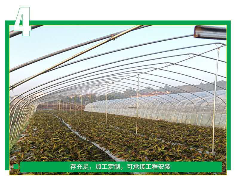 8b0b4064e6bf7ad97a012f1c788d88