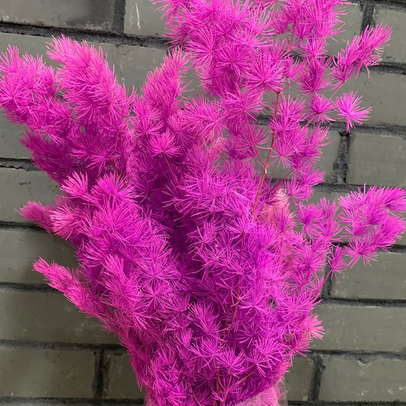 微信图片_20200607105737