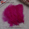 Spot balloon balloon filling Bobo built -in feathers color sharp tail feather turkey hair wholesale