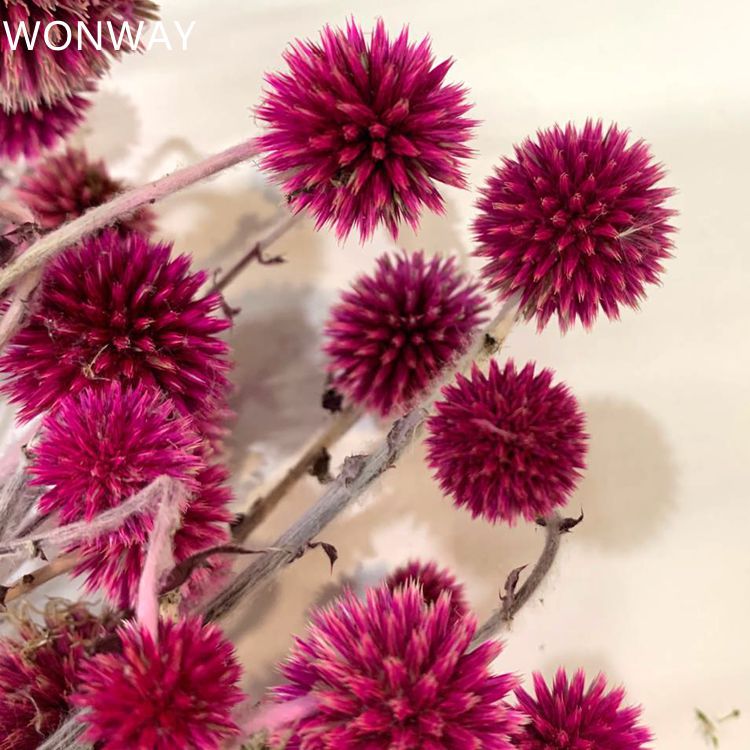 微信图片_20200226144312_副本