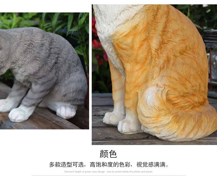 猫咪_19.jpg