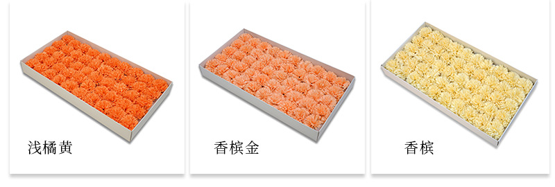 AL康乃馨详情_10