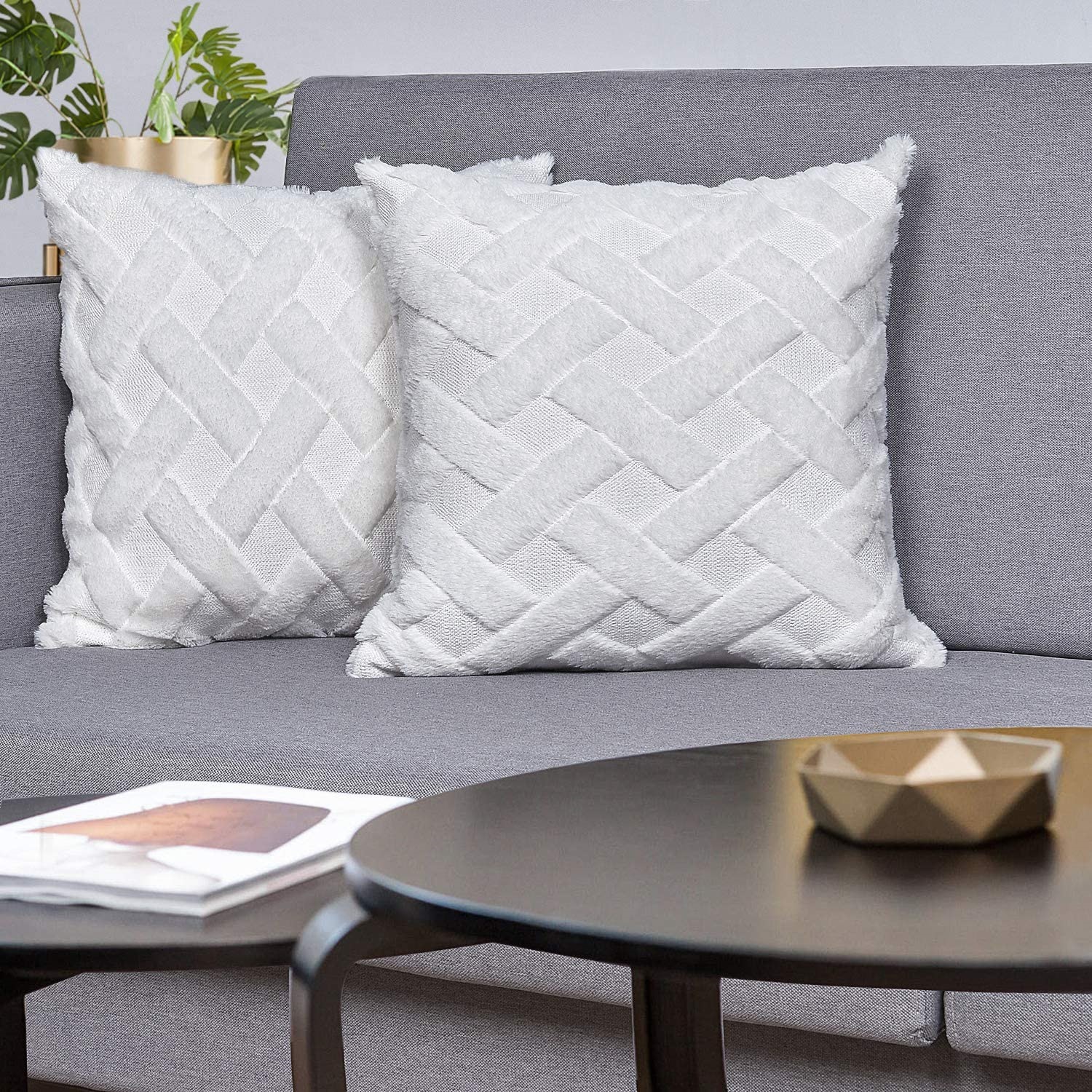 81iy1sjb3bL._AC_SL1500_