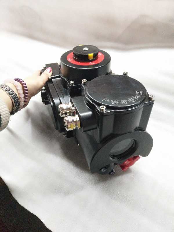 精小型电动执行器 智能一体化调节型 开关型