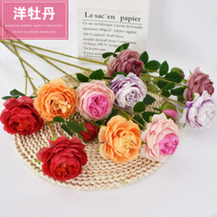 仿真洋牡丹 西洋玫瑰家居婚慶絹花道具布置裝飾花 歐式三頭洋牡丹