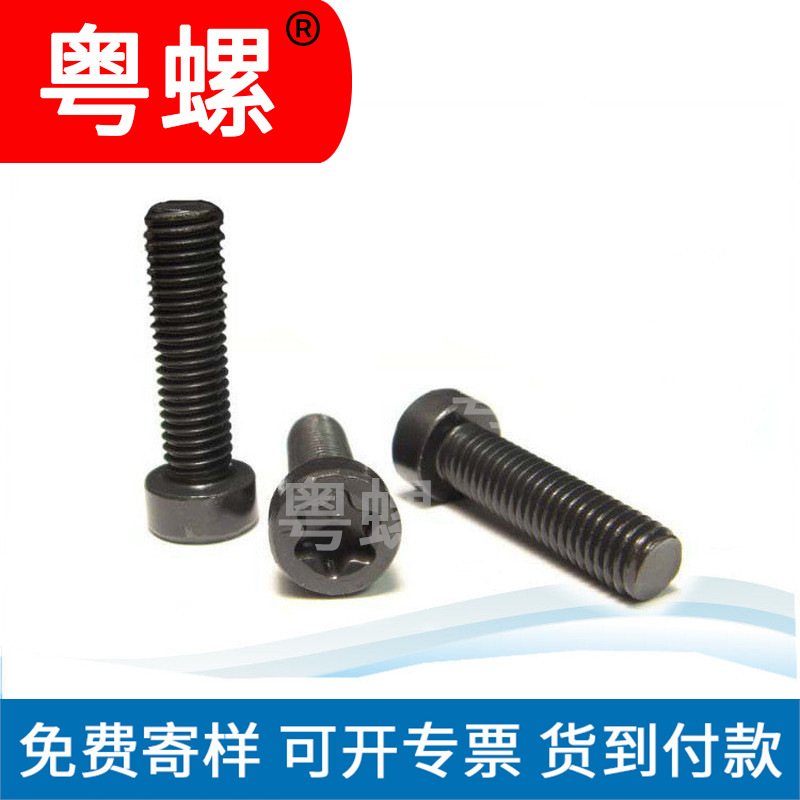 佛山 供应非标防盗螺丝 304 不锈钢螺丝自动车床加工