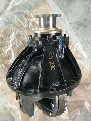 Manufacturer Supplies and Wholesales Differential assembly