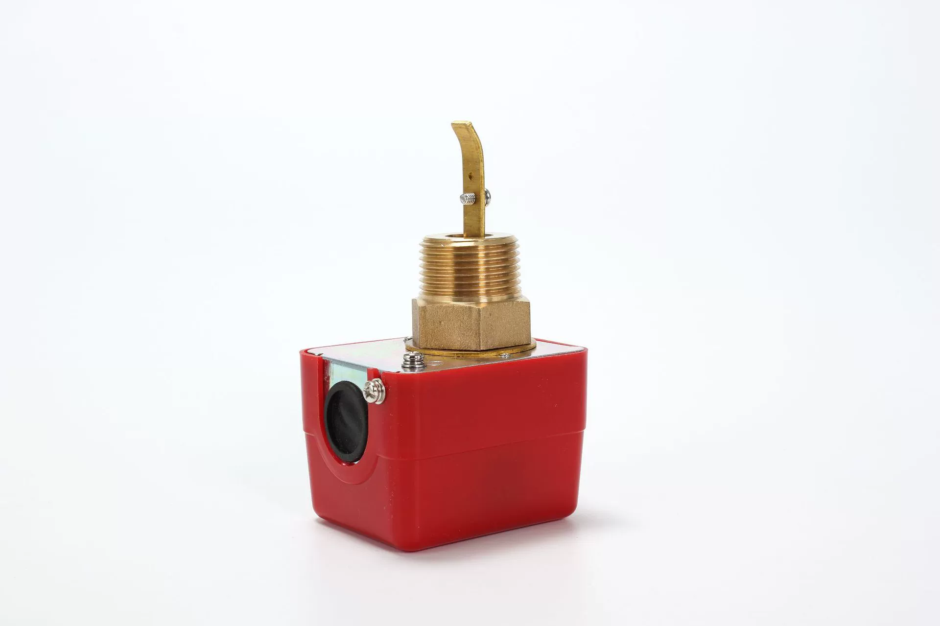 Manufacturer supplies a target flowmeter (high precision)